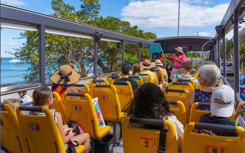 Caribbean Adventure with Hop-on Hop-off and Beach Break in Cozumel - Image 2